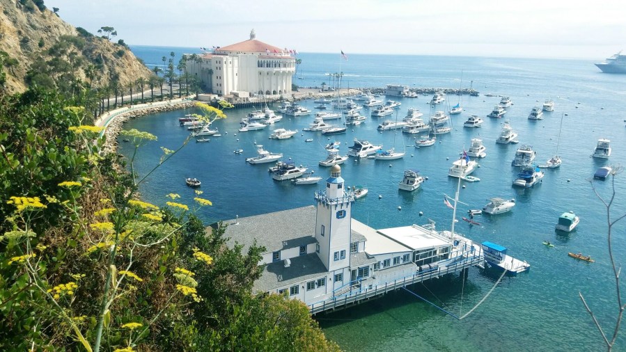 Catalina Island